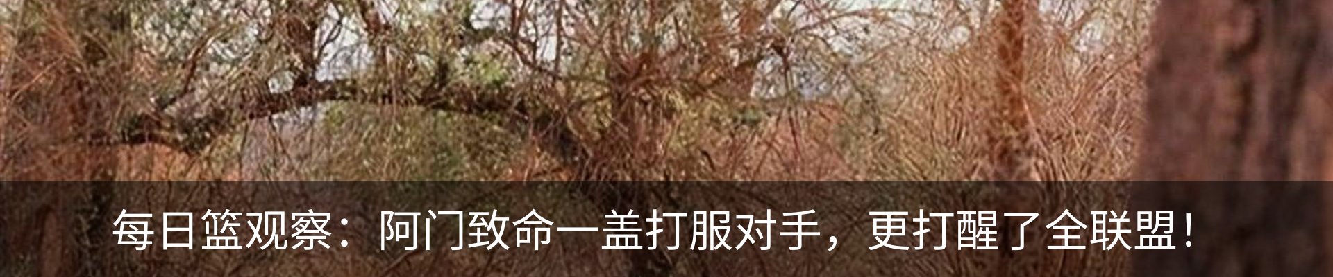 行业资讯